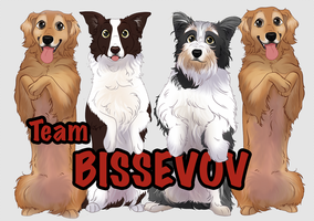 Team bissevov