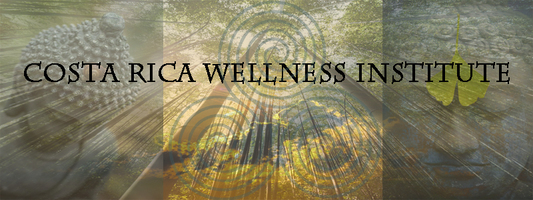 Costa Rica Wellness Institute