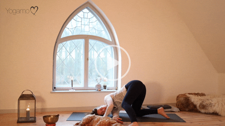 Yogaens stærke søjler