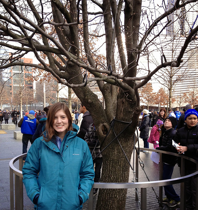 Survivor Tree world trade center 9/11 memorial new york