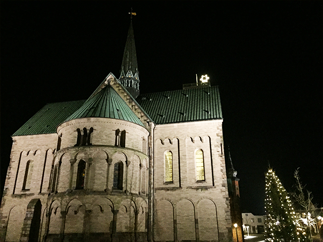 Ribe Domkirke