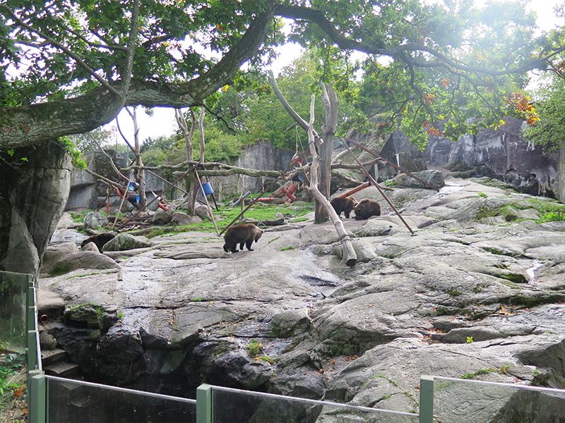 skansen djurgården stockholm