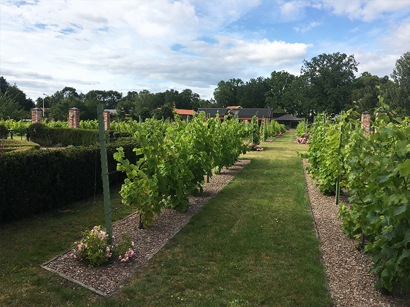 åmund vin och fruktgård