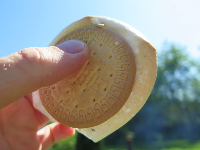 smores over bål sommerhus