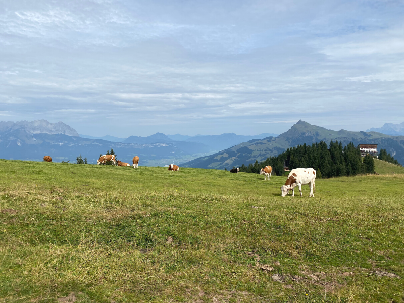 hahnenkamm kitzbühel