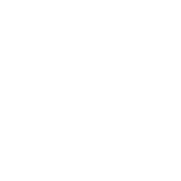 Logo for the company Auto Store