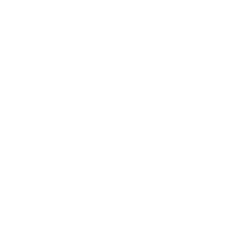 Logo for the company Google