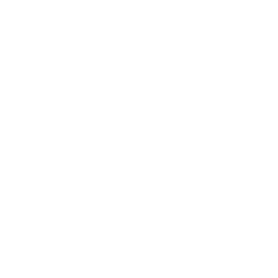 Logo for the company Lego