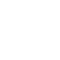 Logo for the company Novo Nordisk