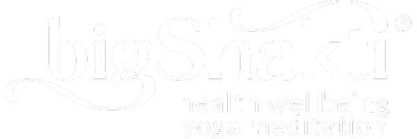 Big Shakti logo