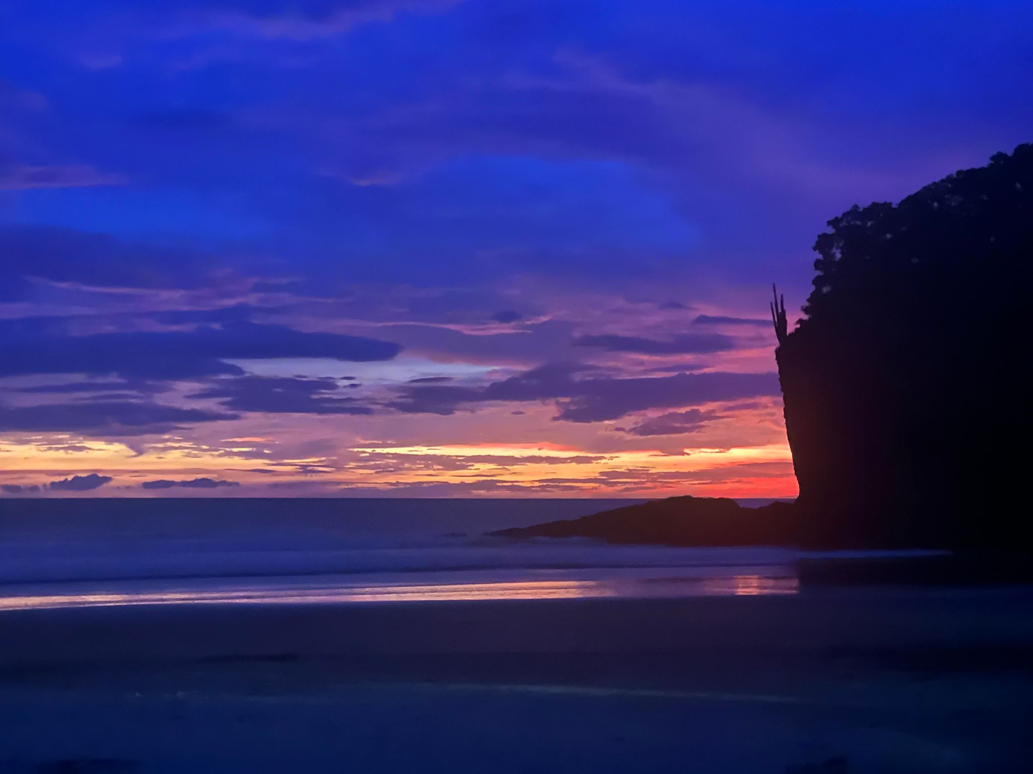 Dr Katina s Wellness Week March 22 29 2025 dr-katina-s-wellness-week-march-22-29-2025