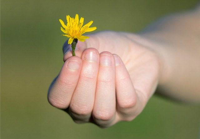 Niño ofreciendo una flor