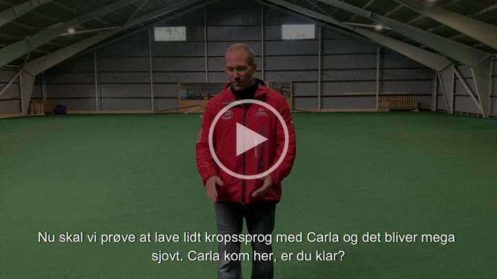 Betydning af kropssprog med undertekster