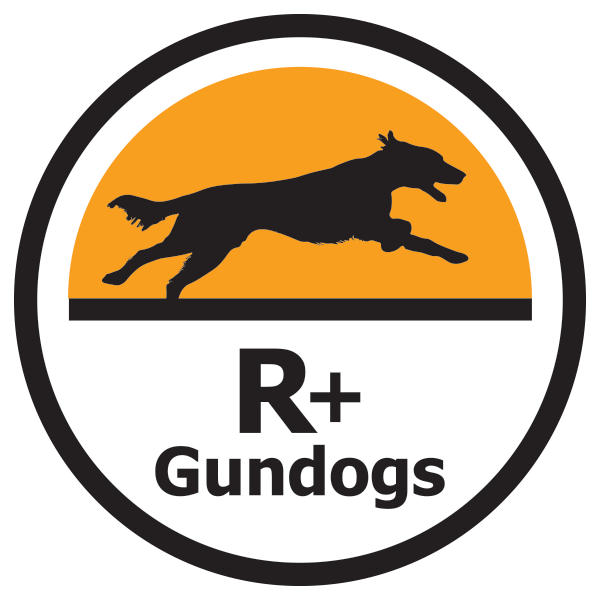 R+Gundogs