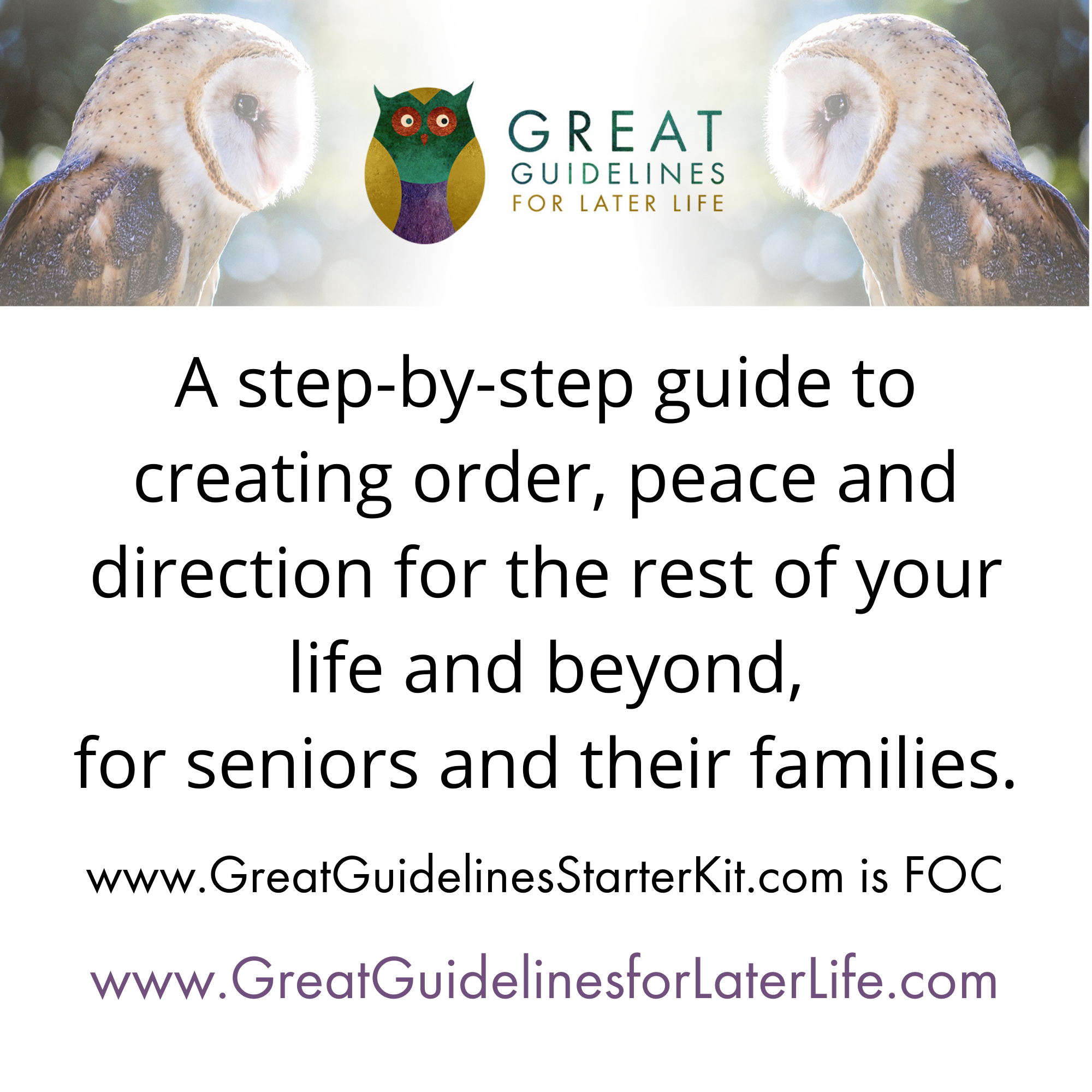 Great Guidelines for Later Life
