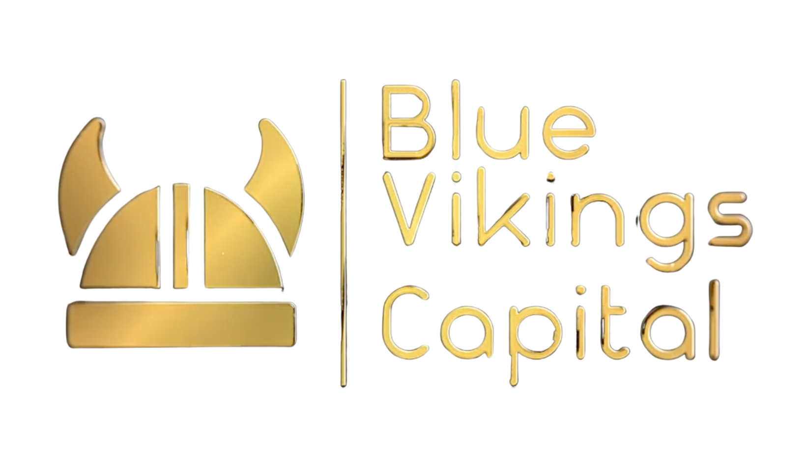 Blue Vikings Capital logo