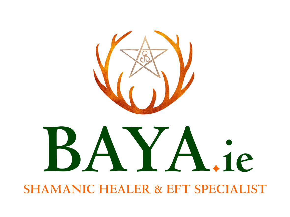 Baya Salmon-Hawk logo