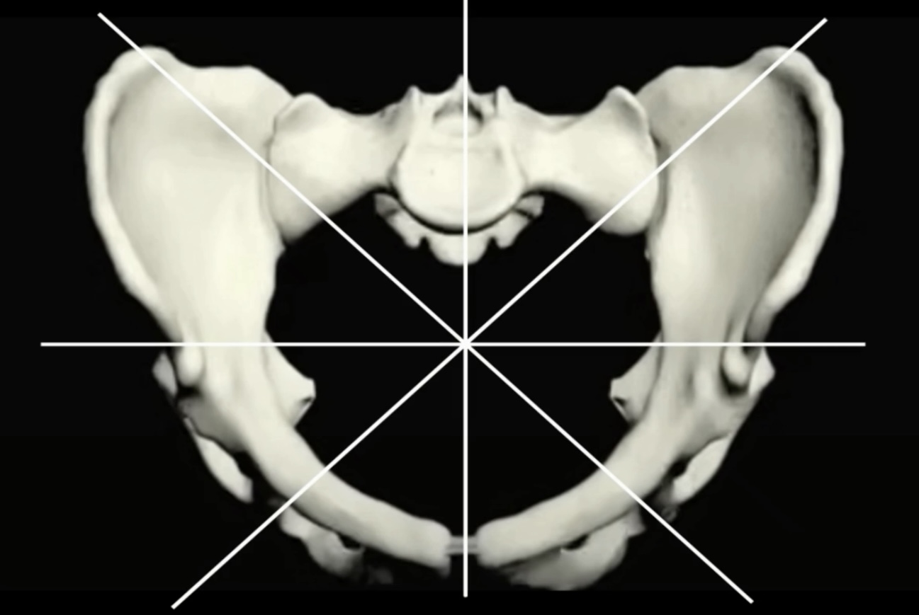 childbirth pelvis