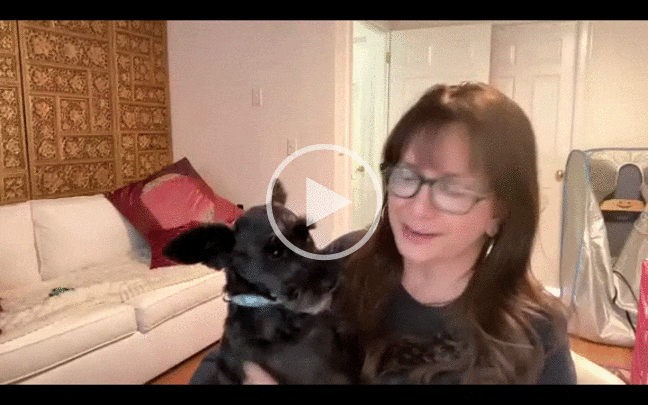 Enhancing Your Digestive Health with Enzymes and Probiotics with Jenny Olson 2025-07-22