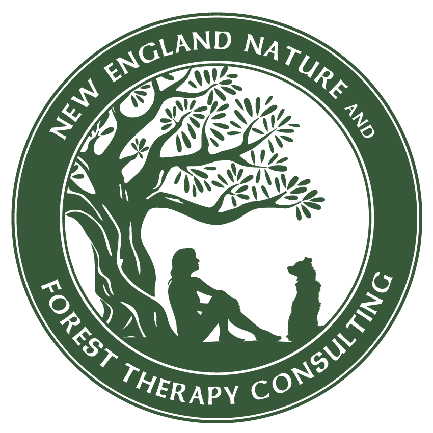 nenft - Home - New England Nature and Forest Therapy Consulting