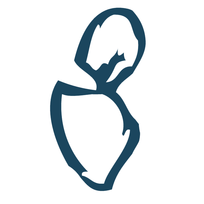 Dansk Akademi for Kropsterapi