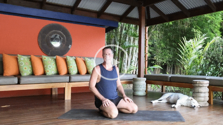 beginner yoga class