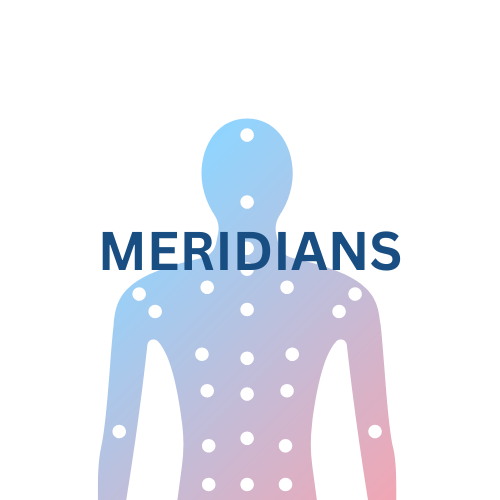 Meridian Teacher