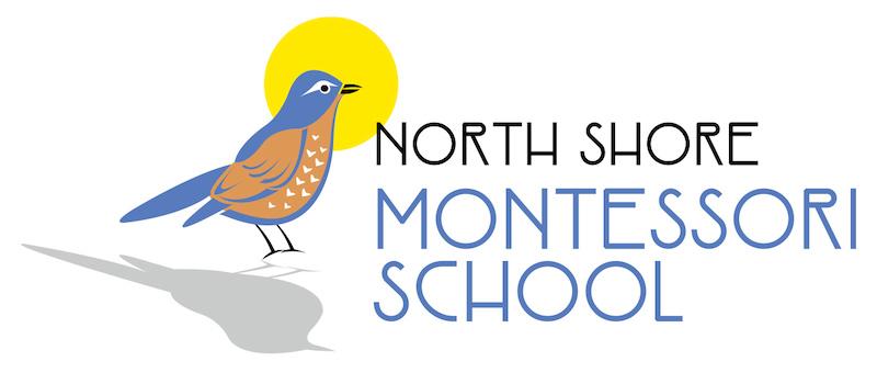 NSMLogo