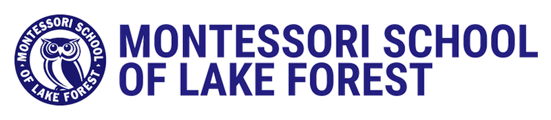 mslf logo