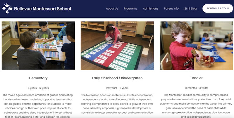 Bellevue Programs