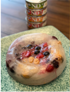 Dump the Fridge Ice Treats