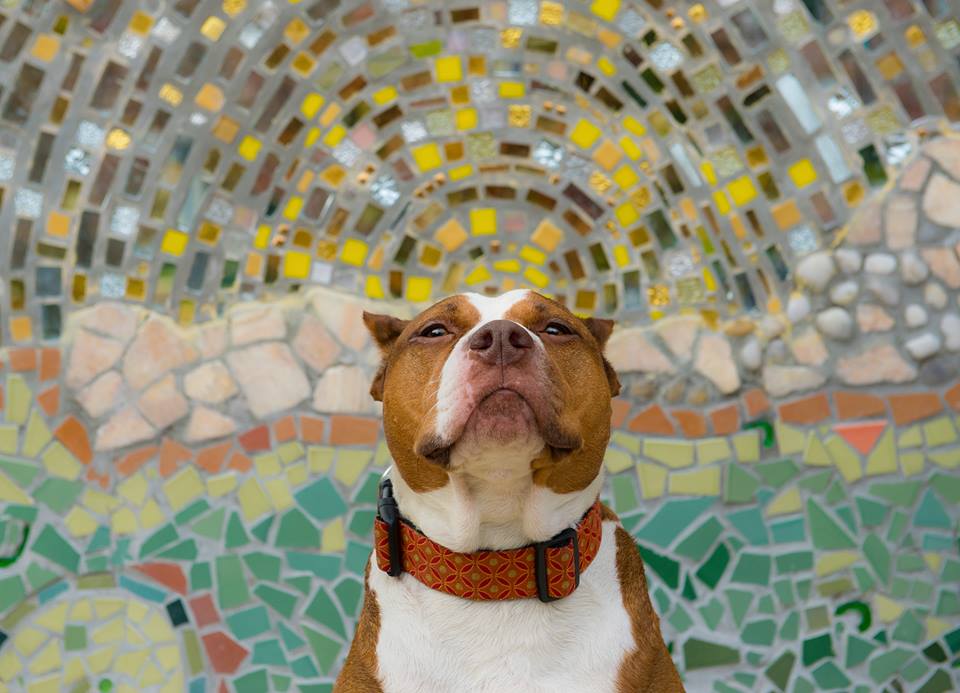 Mural Series with YaYaZen, Pamela Townsend Photography 2013