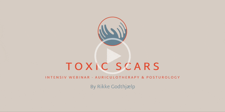 TOXIC SCARS intensiv webinar 2025