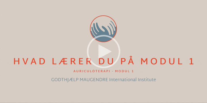 MODUL 1 - Hvad lærer du på modul 1 2026