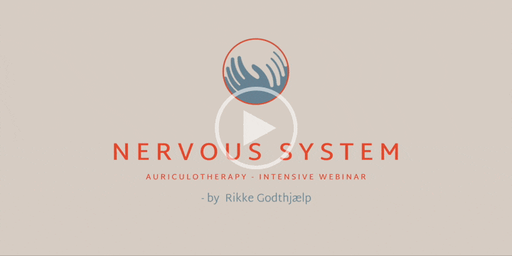 NERVOUS SYSTEM intensivt webinar 2026