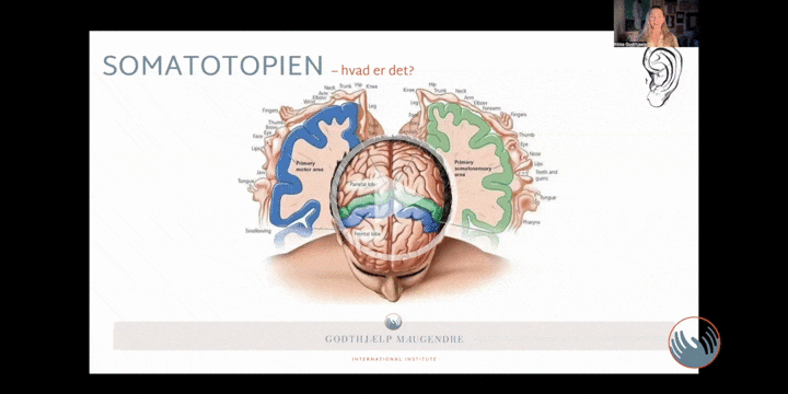 MODUL 1 - Somatotopien 2026