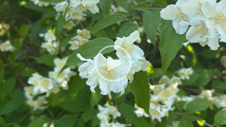 Meditasjon modul 1 - start reisen