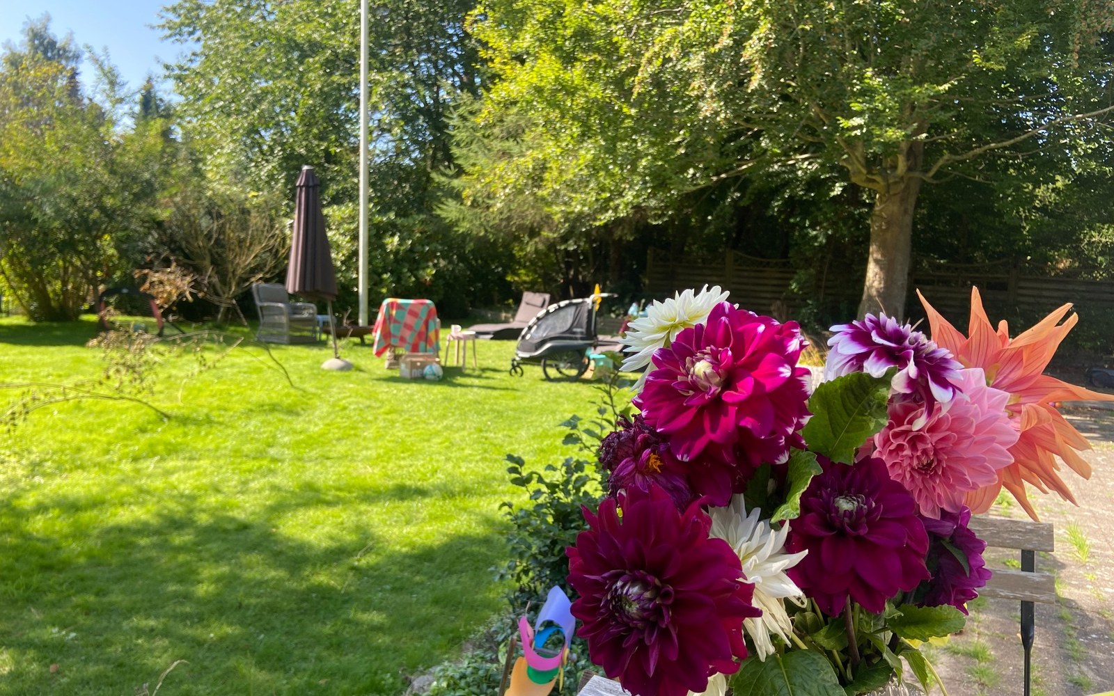 Lys og velstelt hageplen med blomster i forgrunnen