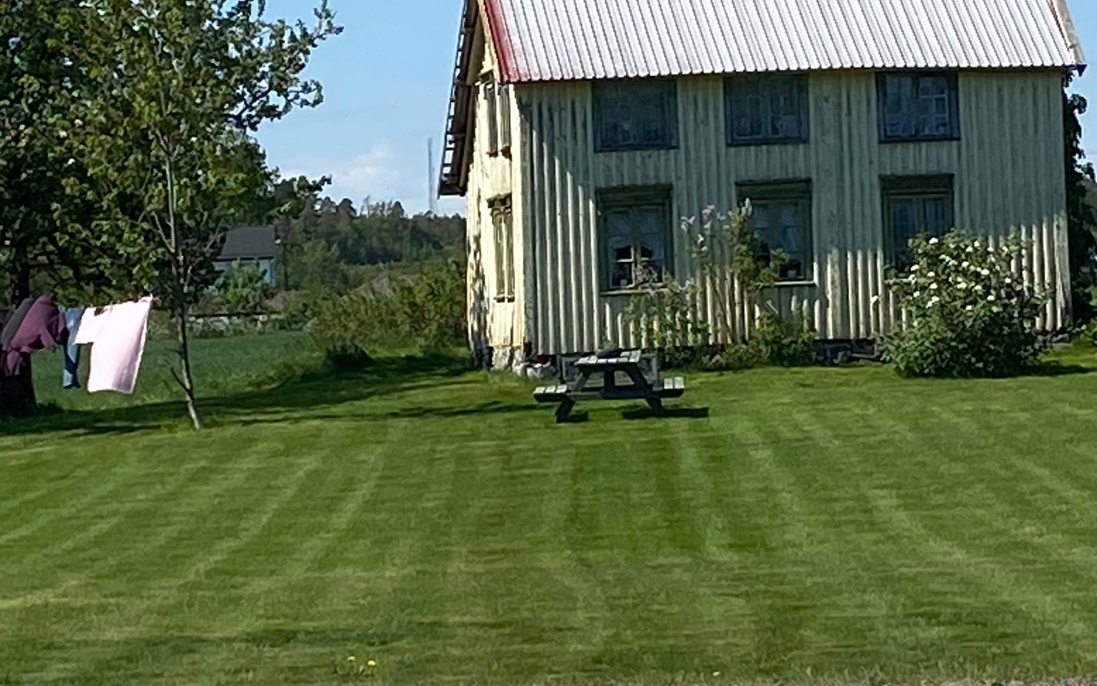 Bolighus med jevn og tett plen