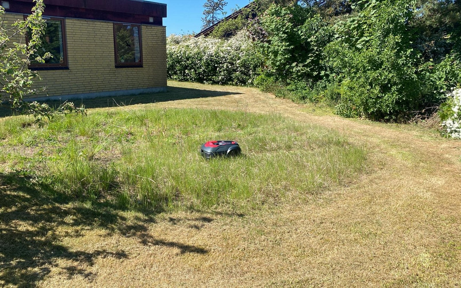 Solstekt plen med tørre felt