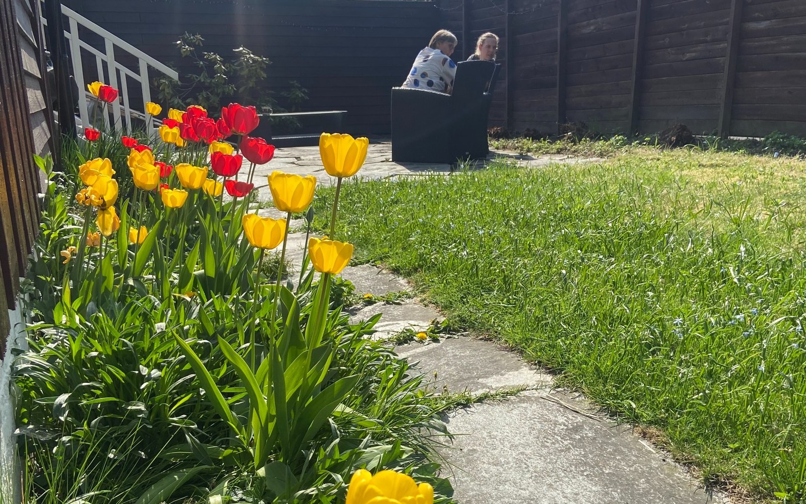 Vårplen ved gangsti og tulipaner