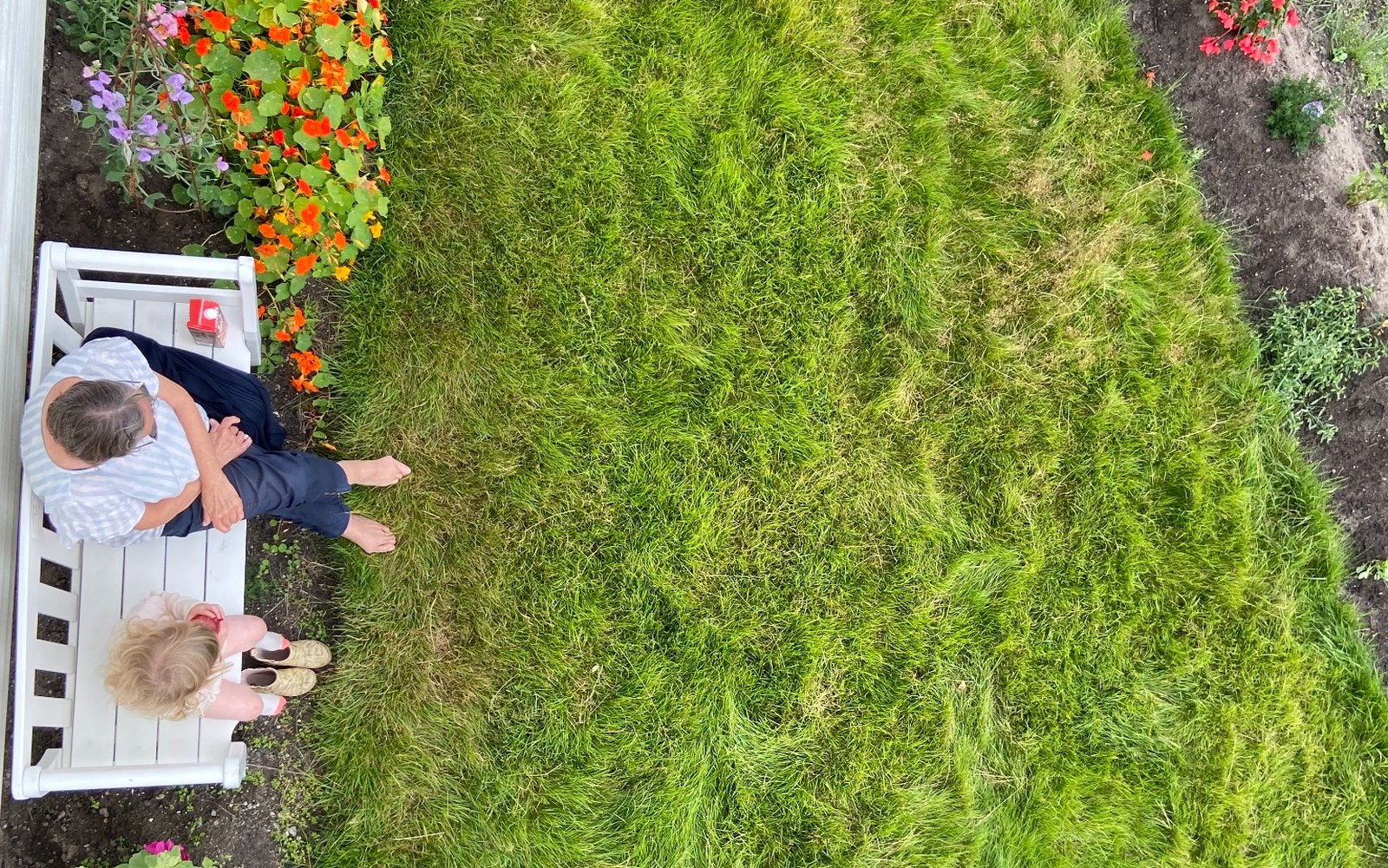 Plen med tynne partier sett ovenfra