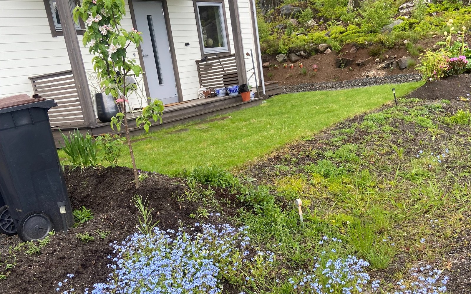 Privat hage med frisk plen og blomstrende bed