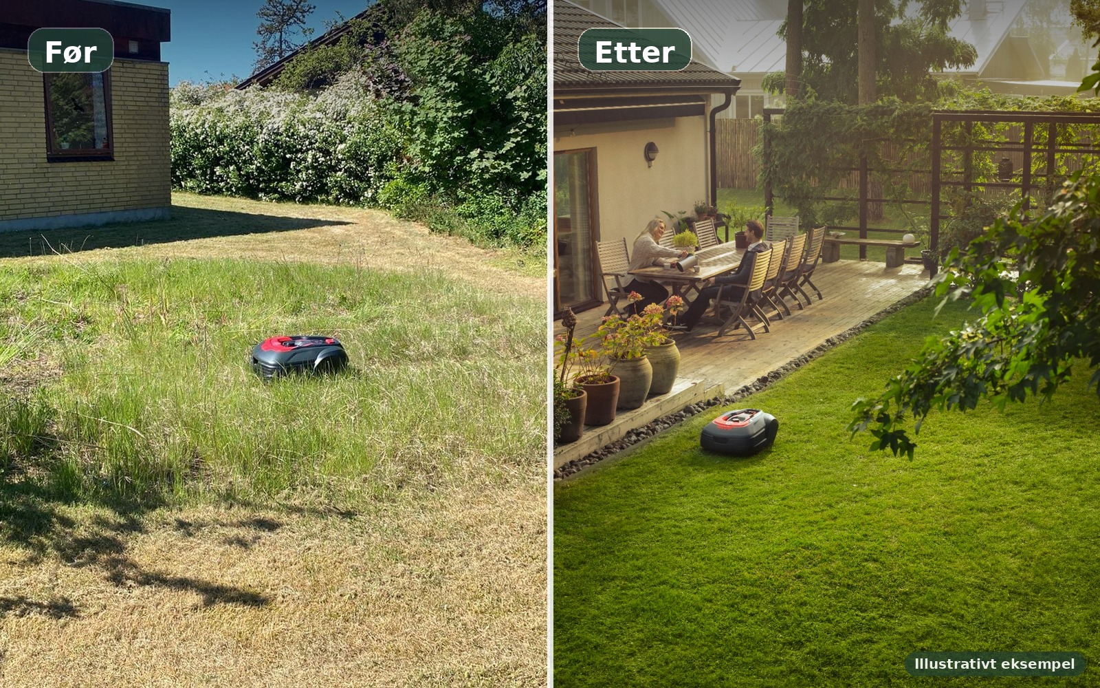 Illustrativt før- og etterbilde av tørr, ujevn plen sammenlignet med en tett og grønn plen