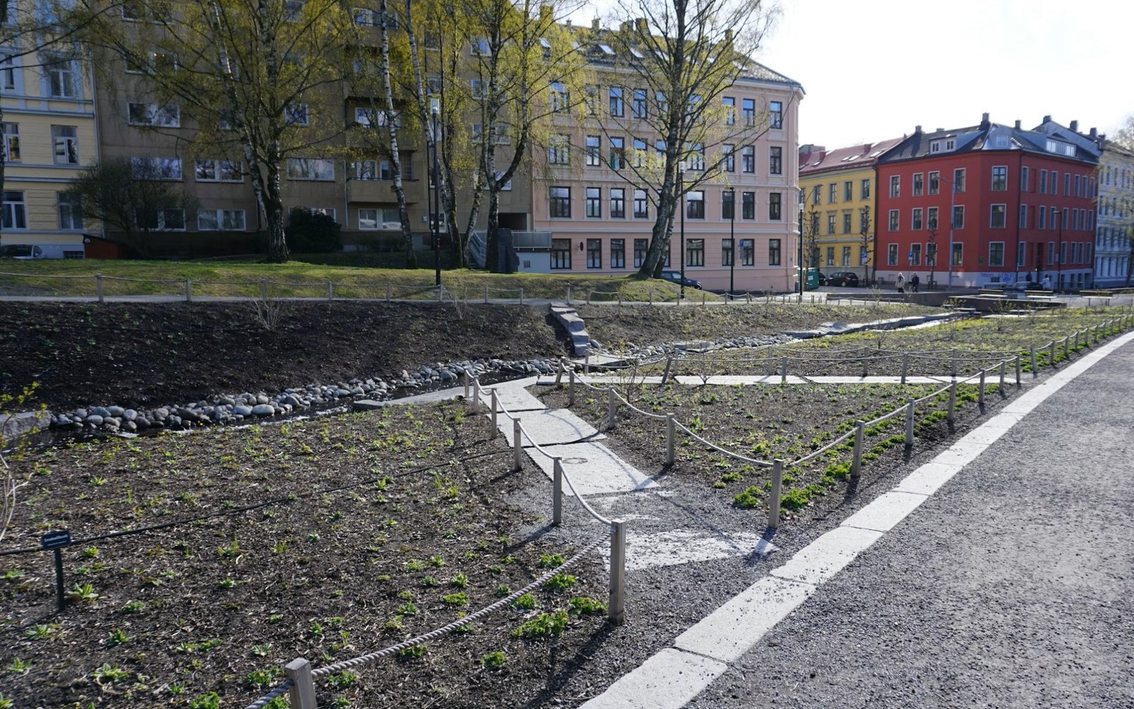 Velstelt plen med tydelige kanter