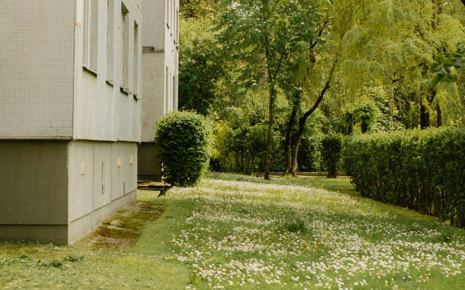 Plen med hekk og åpen grøntflate