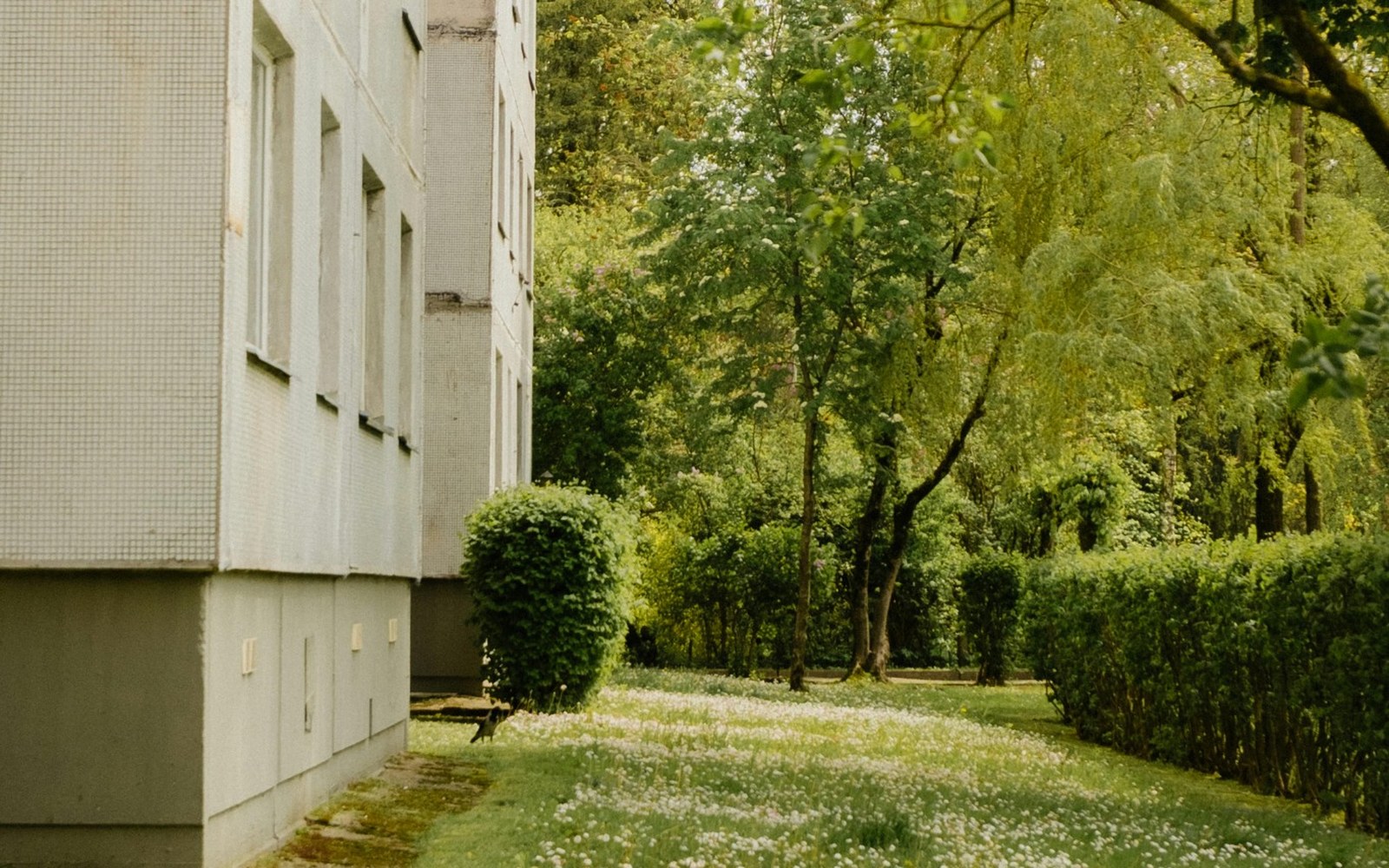 Plen og grøntareal tett på boligblokk
