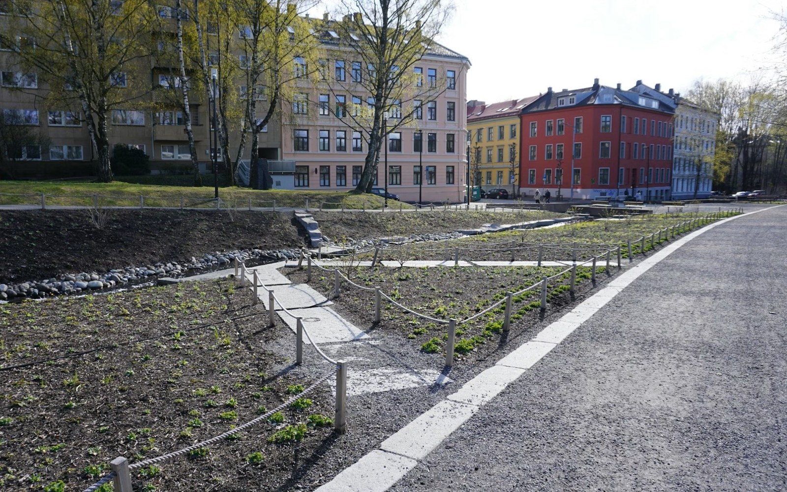 Fellesareal ved boligblokk med plen og trær
