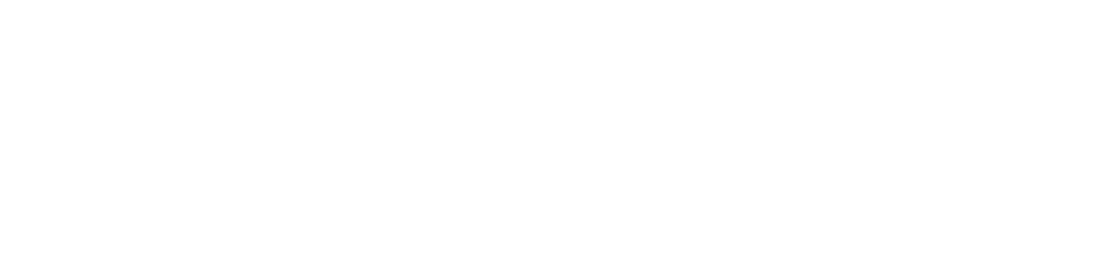 The Abundance Party