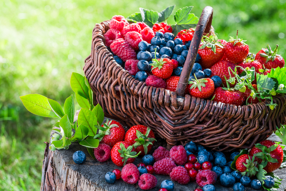 Berries high in antioxidants